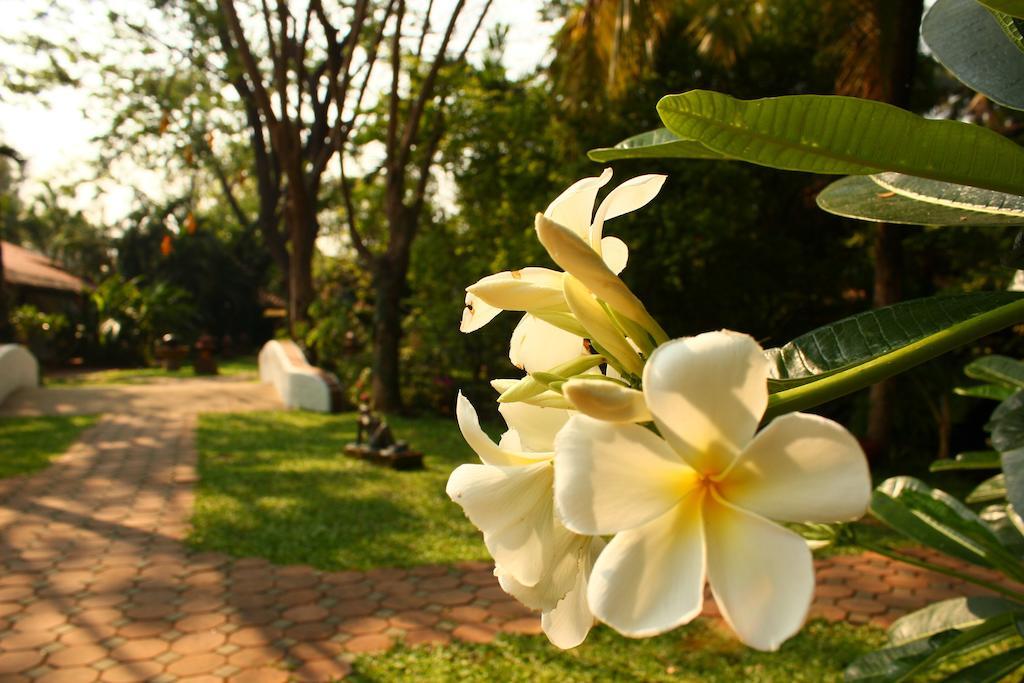 Secret Garden Chiangmai 호텔 San Kamphaeng 외부 사진